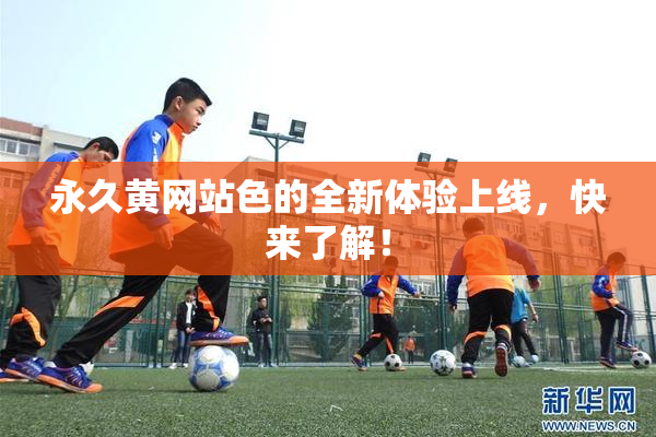 永久黄网站色的全新体验上线，快来了解！