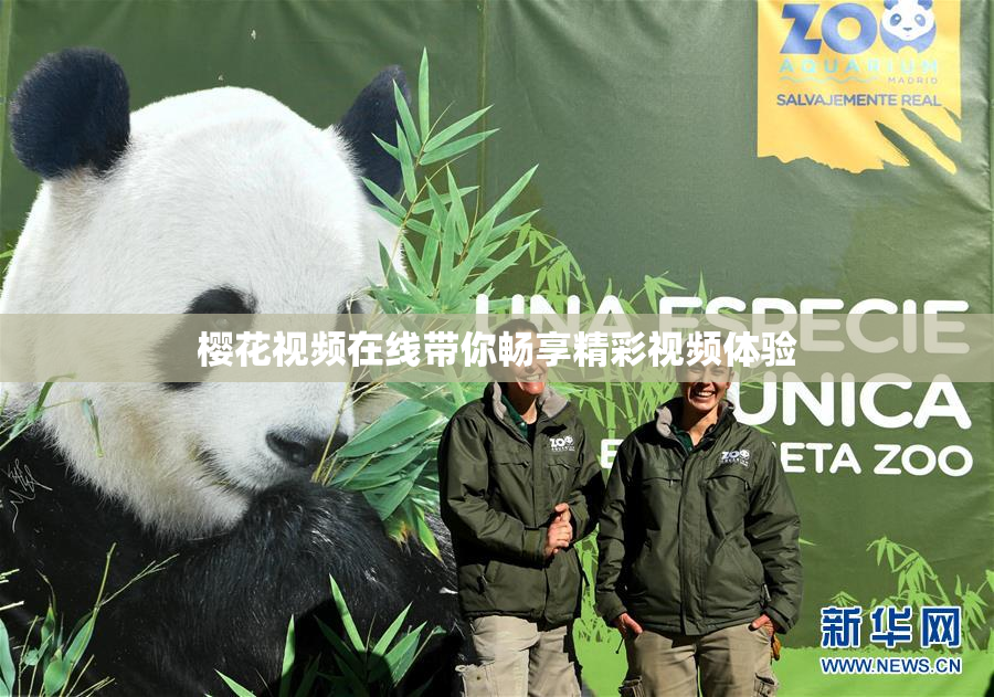 樱花视频在线带你畅享精彩视频体验