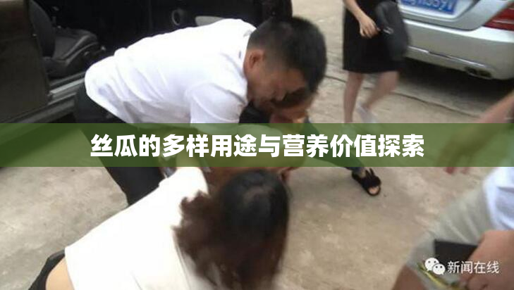 丝瓜的多样用途与营养价值探索