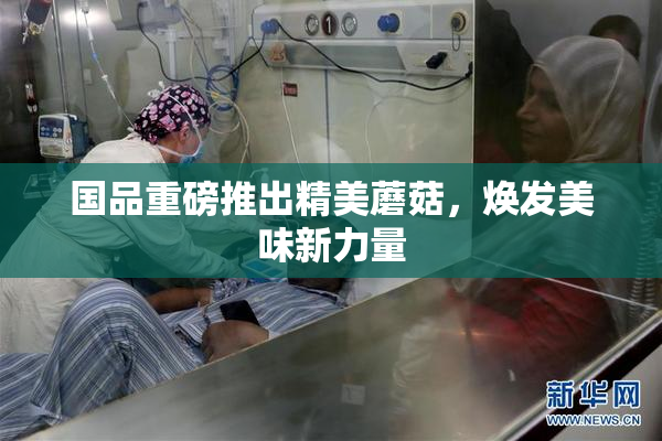 国品重磅推出精美蘑菇，焕发美味新力量