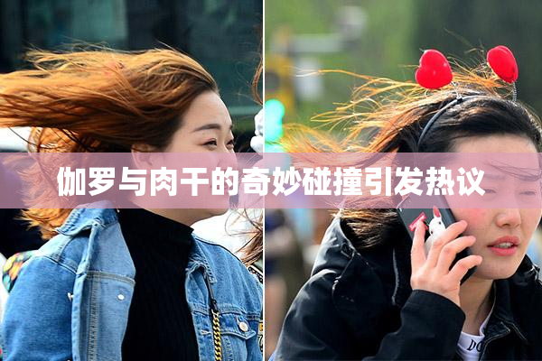 伽罗与肉干的奇妙碰撞引发热议