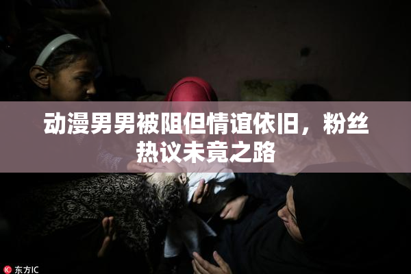 动漫男男被阻但情谊依旧，粉丝热议未竟之路