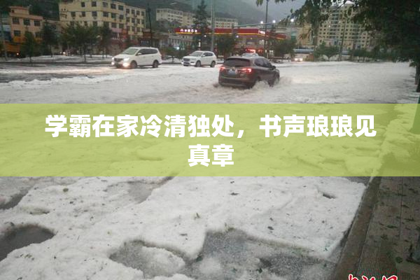 学霸在家冷清独处，书声琅琅见真章