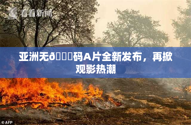 亚洲无🈚码A片全新发布，再掀观影热潮
