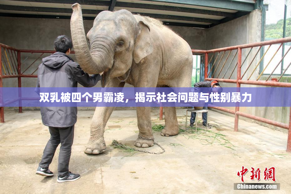 双乳被四个男霸凌，揭示社会问题与性别暴力