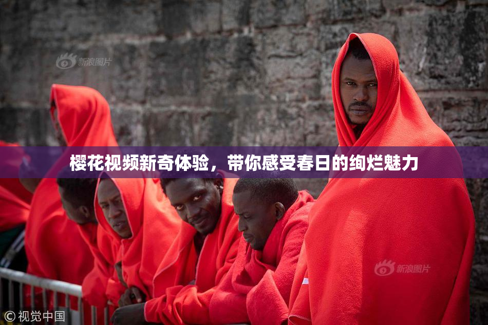 樱花视频新奇体验，带你感受春日的绚烂魅力