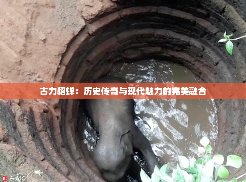 古力貂蝉：历史传奇与现代魅力的完美融合