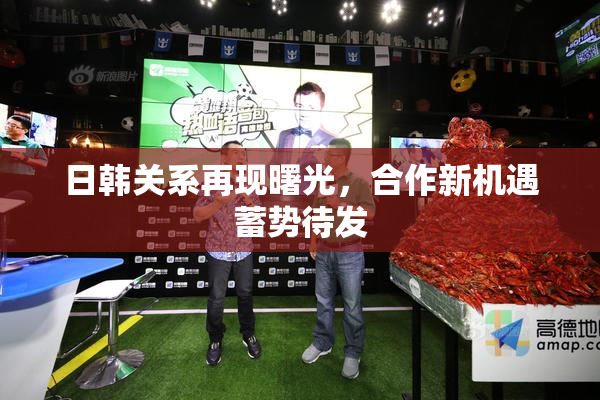 日韩关系再现曙光，合作新机遇蓄势待发