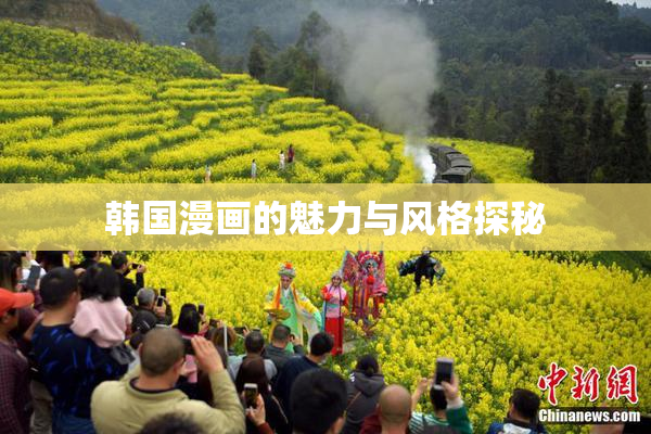 韩国漫画的魅力与风格探秘
