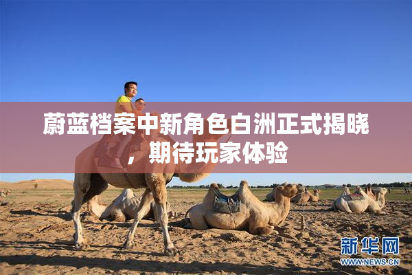 蔚蓝档案中新角色白洲正式揭晓，期待玩家体验