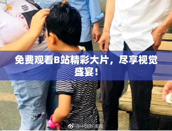 免费观看B站精彩大片，尽享视觉盛宴！