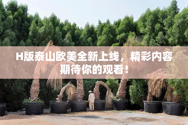 H版泰山欧美全新上线，精彩内容期待你的观看！