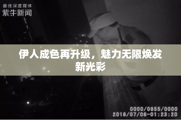 伊人成色再升级，魅力无限焕发新光彩