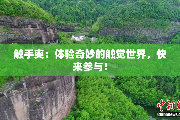 触手爽：体验奇妙的触觉世界，快来参与！