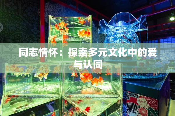 同志情怀：探索多元文化中的爱与认同