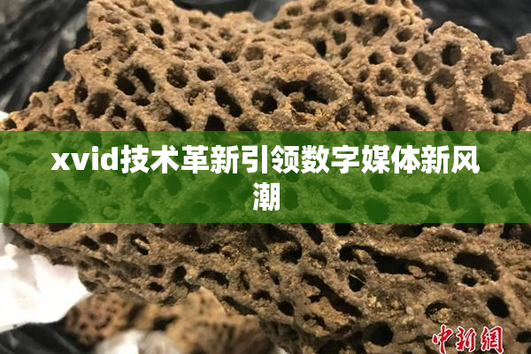 xvid技术革新引领数字媒体新风潮