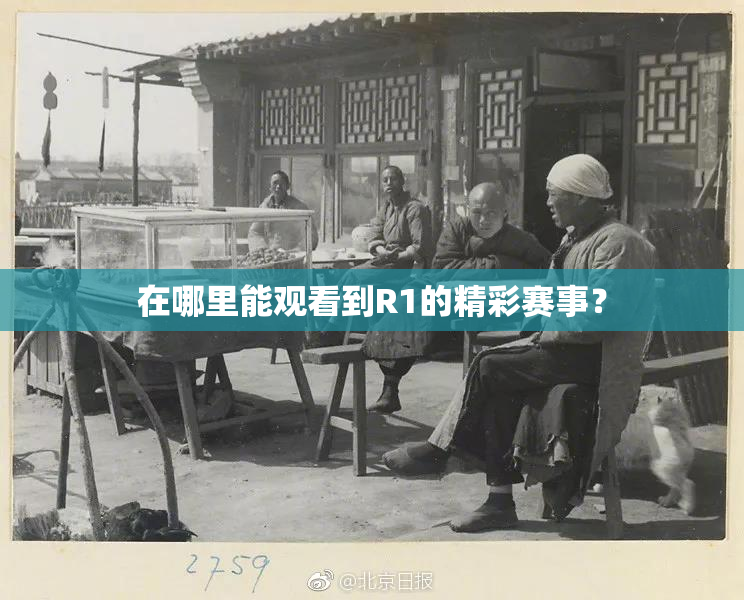 在哪里能观看到R1的精彩赛事？