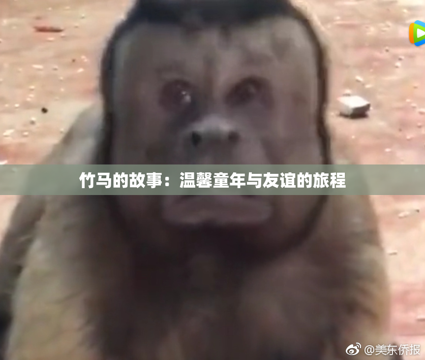 竹马的故事：温馨童年与友谊的旅程
