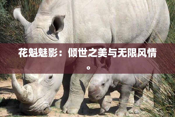 花魁魅影：倾世之美与无限风情。