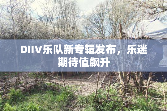 DIIV乐队新专辑发布，乐迷期待值飙升