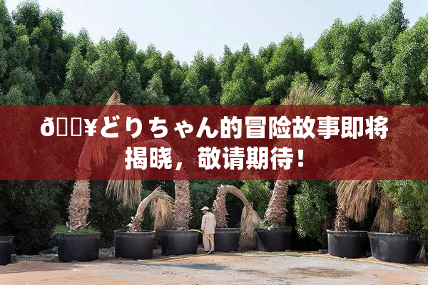 🔥どりちゃん的冒险故事即将揭晓，敬请期待！