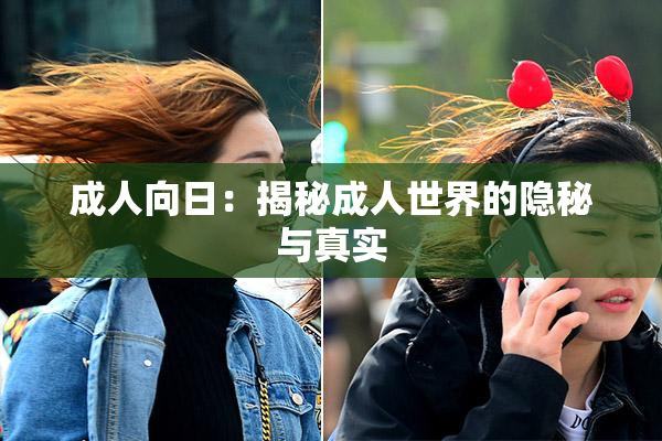 成人向日：揭秘成人世界的隐秘与真实
