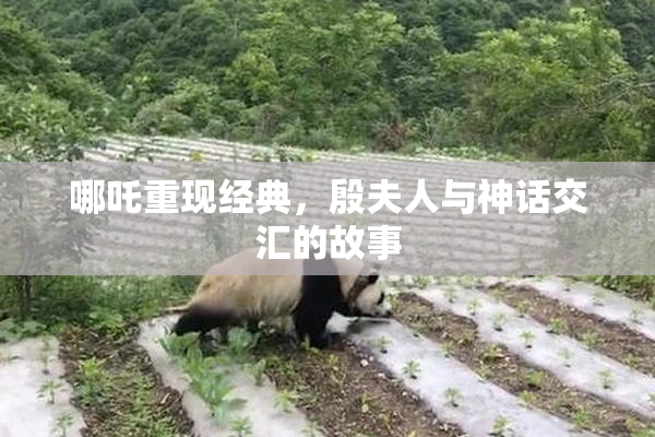 哪吒重现经典，殷夫人与神话交汇的故事