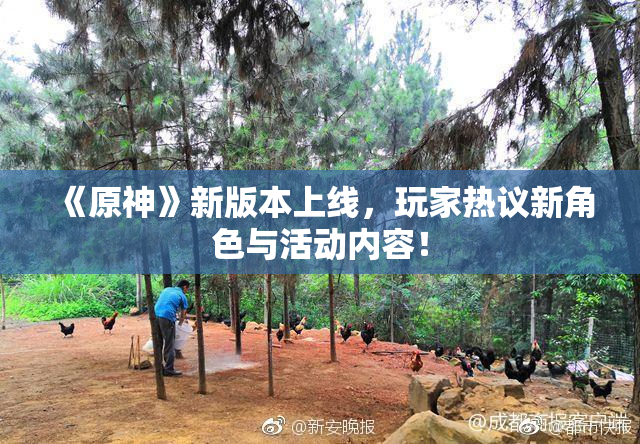 《原神》新版本上线，玩家热议新角色与活动内容！