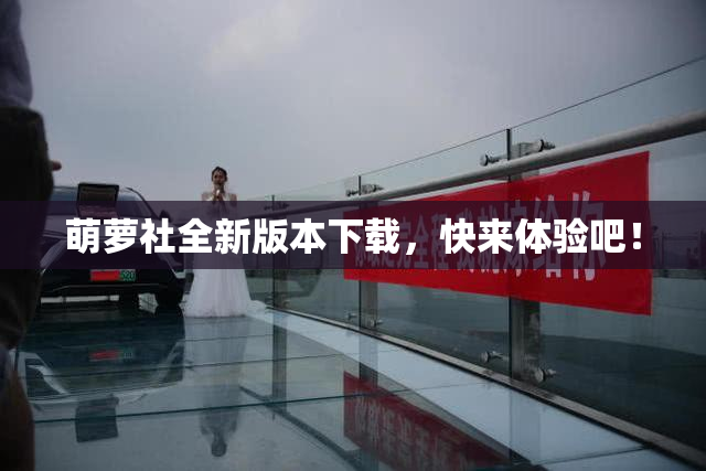 萌萝社全新版本下载，快来体验吧！