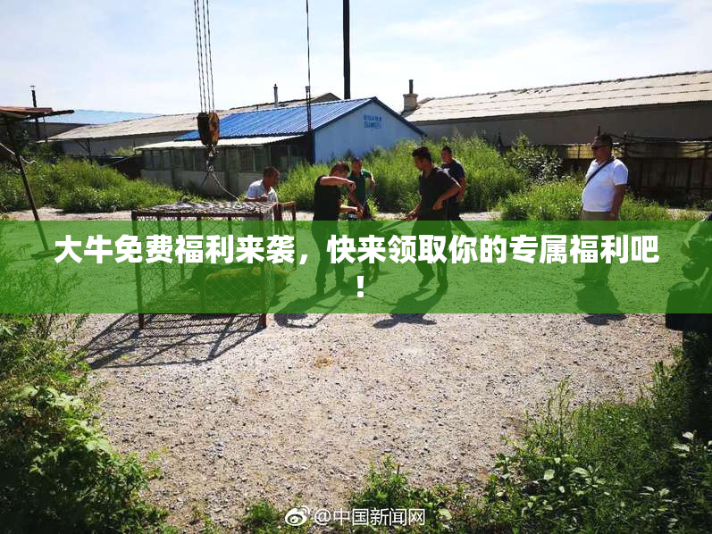 大牛免费福利来袭，快来领取你的专属福利吧！