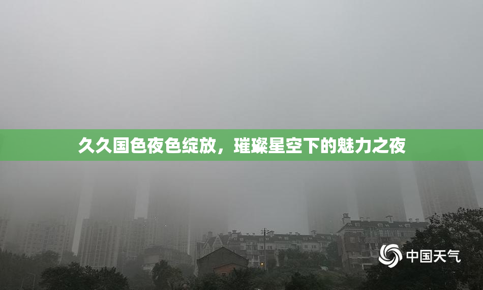 久久国色夜色绽放，璀璨星空下的魅力之夜
