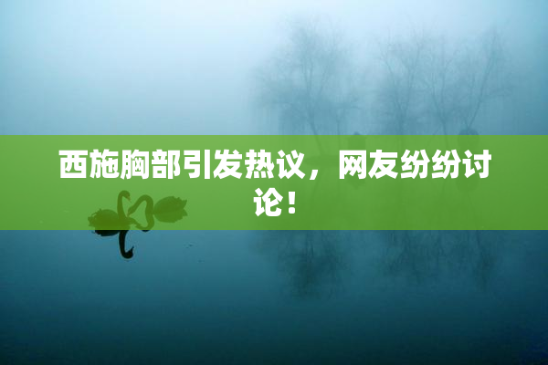 西施胸部引发热议，网友纷纷讨论！