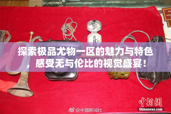 探索极品尤物一区的魅力与特色，感受无与伦比的视觉盛宴！