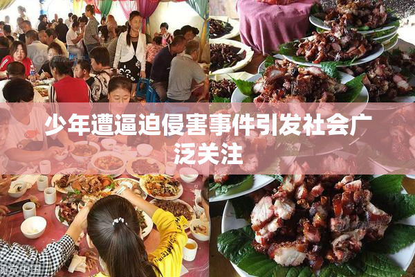 少年遭逼迫侵害事件引发社会广泛关注