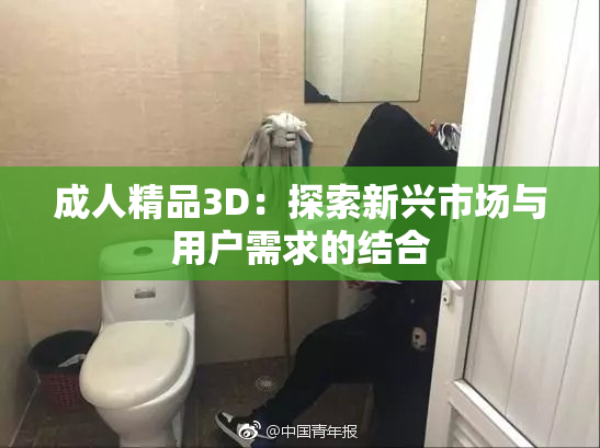 成人精品3D：探索新兴市场与用户需求的结合