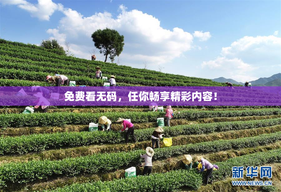 免费看无码，任你畅享精彩内容！