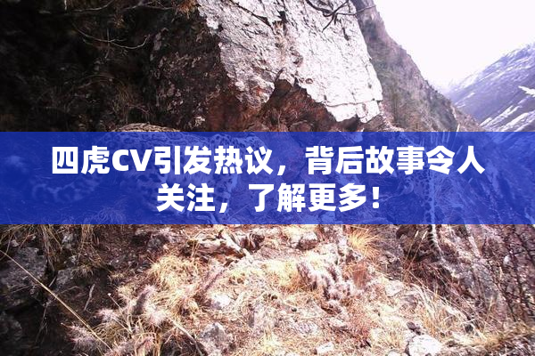 四虎CV引发热议，背后故事令人关注，了解更多！