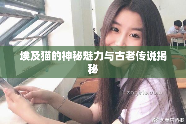 埃及猫的神秘魅力与古老传说揭秘