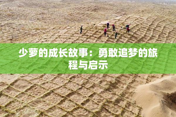 少萝的成长故事：勇敢追梦的旅程与启示