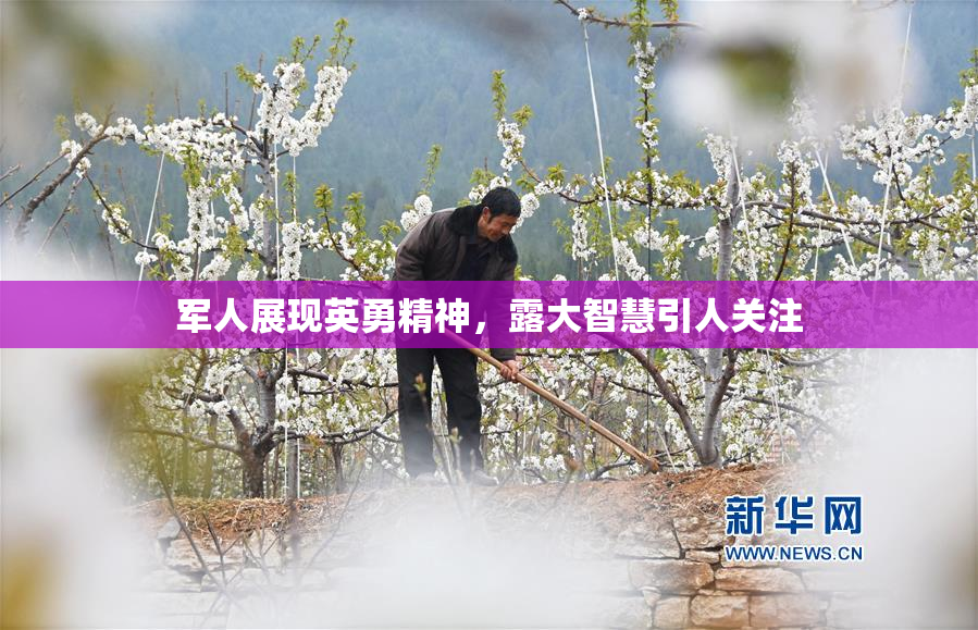 军人展现英勇精神，露大智慧引人关注
