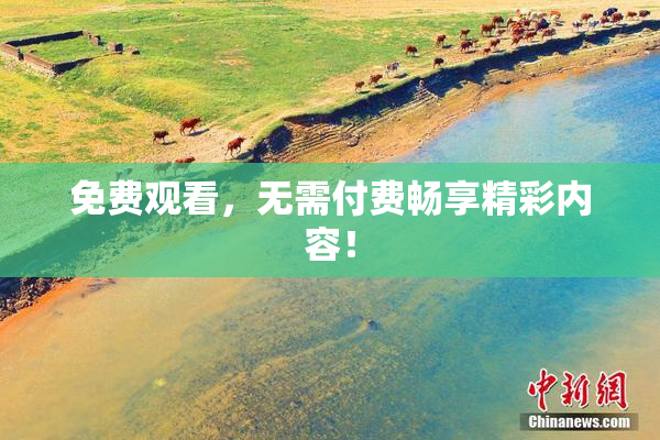 免费观看，无需付费畅享精彩内容！