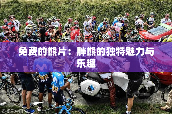 免费的熊片：胖熊的独特魅力与乐趣