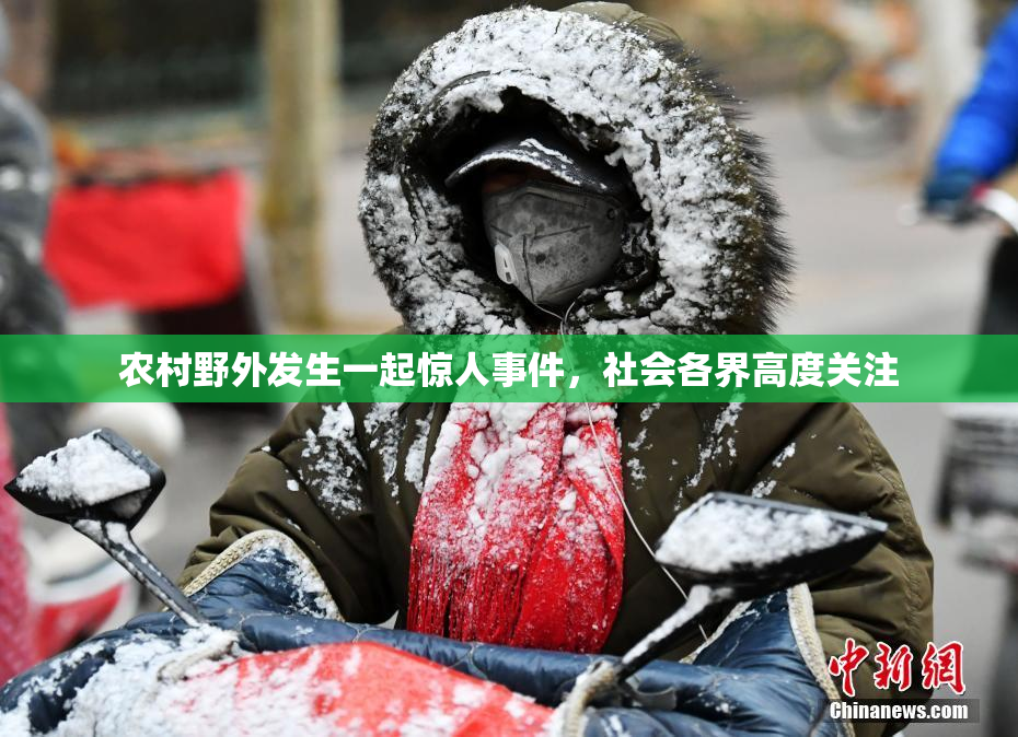 农村野外发生一起惊人事件，社会各界高度关注