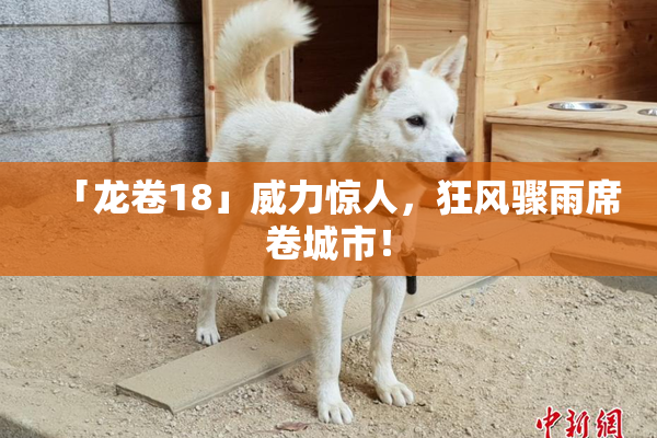 「龙卷18」威力惊人，狂风骤雨席卷城市！