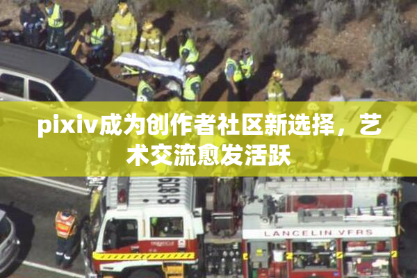 pixiv成为创作者社区新选择，艺术交流愈发活跃
