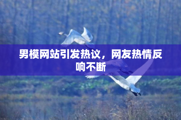 男模网站引发热议，网友热情反响不断