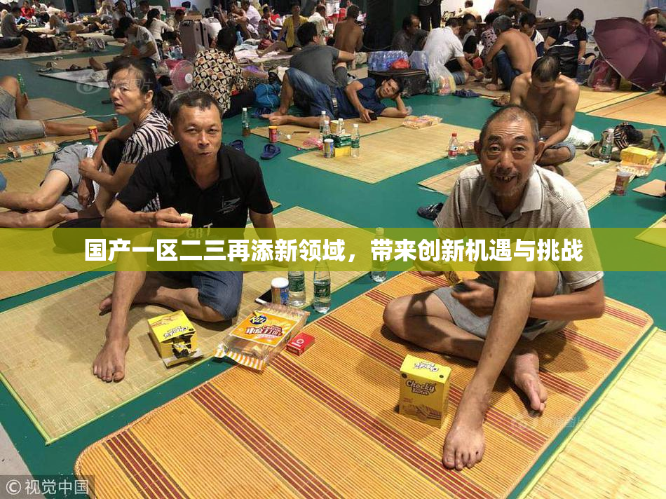 国产一区二三再添新领域，带来创新机遇与挑战