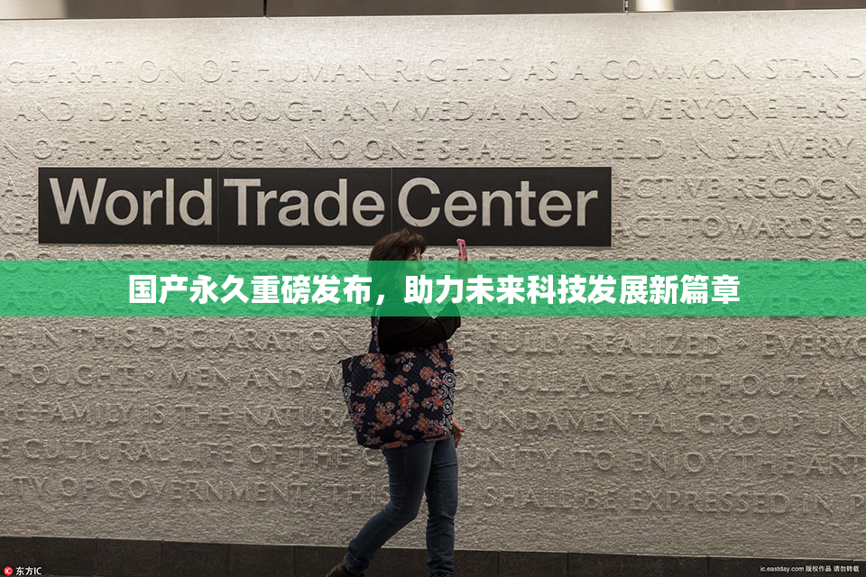 国产永久重磅发布，助力未来科技发展新篇章