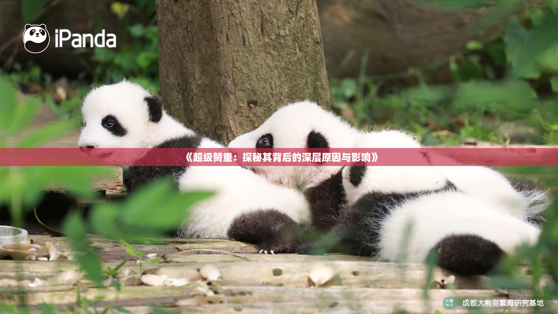 《超级胬重：探秘其背后的深层原因与影响》