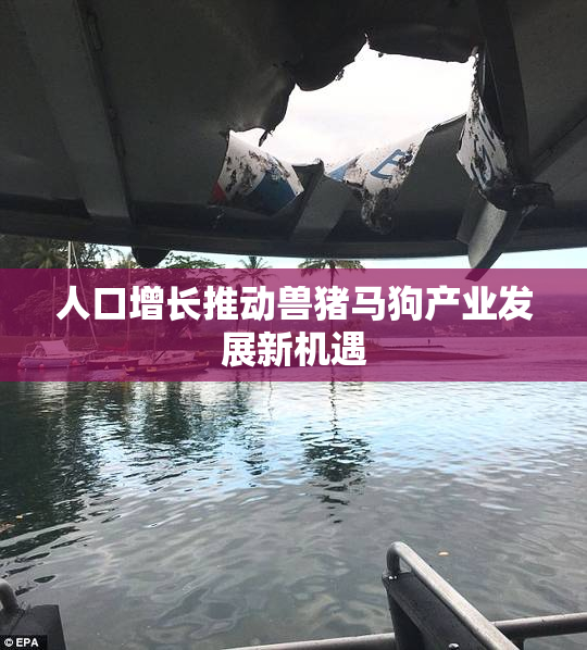 人口增长推动兽猪马狗产业发展新机遇